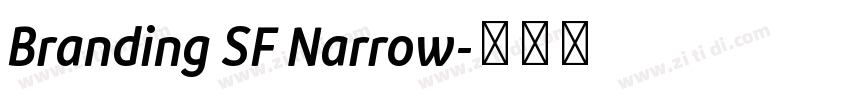 Branding SF Narrow字体转换